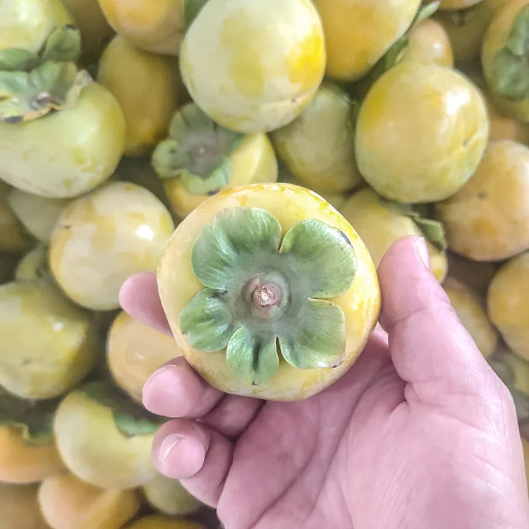 Прэміяльная свежая хрумсткая хурма